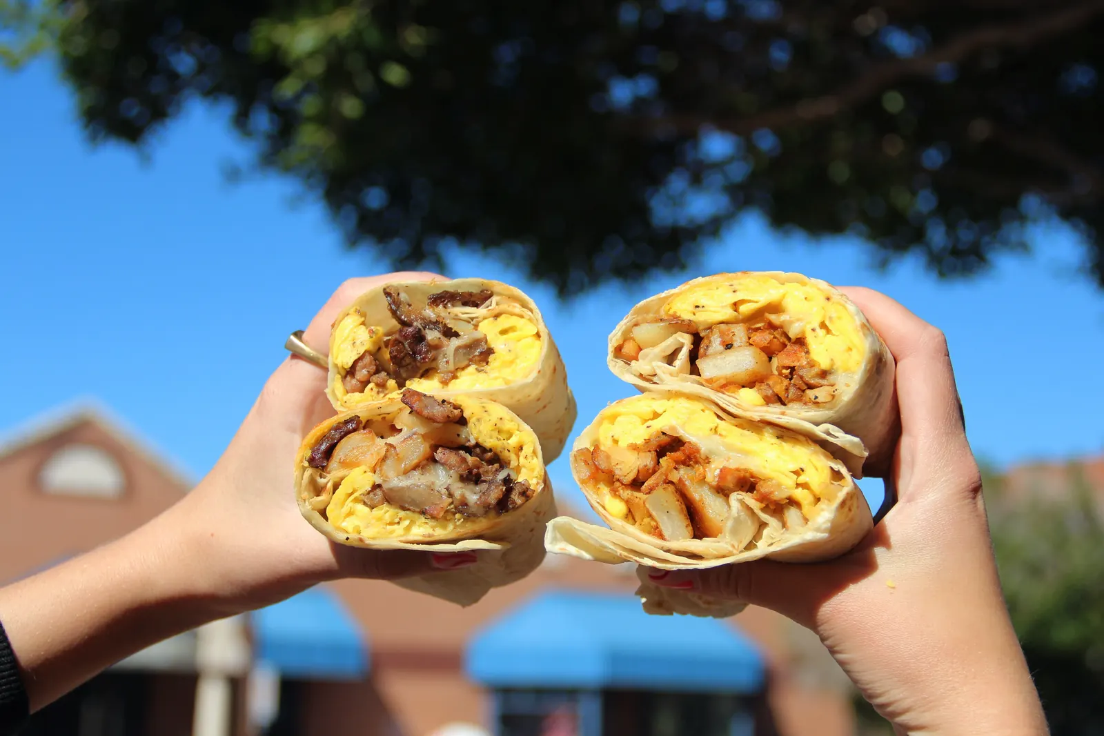 Two breakfast burritos cut in half and held up outdoors, showing egg, potato, and meat fillings